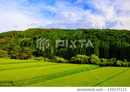 Rural landscape 130337121