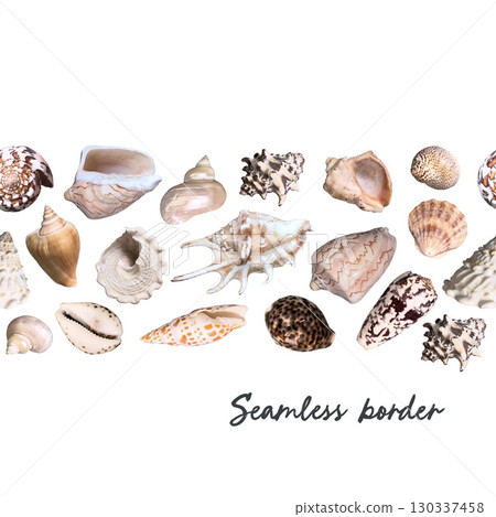 Tropical underwater seamless border of shells photo isolated on white background. For design, prints, fabric or background. Tropical underwater seamless border of shells photo isolated on white background. For design, prints, fabric or background. 130337458