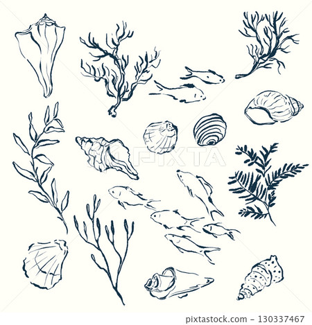 Vector coral reef set of seaweed plants and fish. Underwater linear illustration isolated on white background. For design, prints, fabric or background. Vector coral reef set of seaweed plants and fish. Underwater linear illustration isolated on white background. For design, prints, fabric or background. 130337467