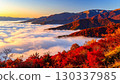 Sea of clouds and autumn foliage in the mountains 130337985