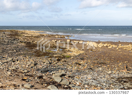 View of Rock and Stone Covered Beach with Blue Sea and Cloudy Sky on a Summer Morning 130337987