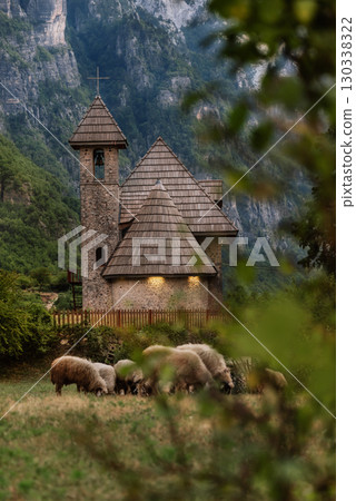 Sheep Gazing in Front of Church of Theth Sheep Gazing in Front of Church of Theth 130338322