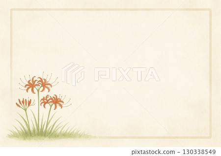 明信片：紅花蜘蛛百合 130338549