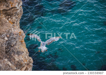 Seagull gliding near a rocky cliff above the turquoise sea, wings spread wide as it soars gracefully along the coastline. 130338987