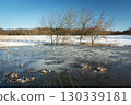 A frozen pond with trees and snow on the fields 130339181