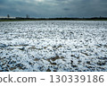 Cloudy sky over a snow-covered plowed field 130339186