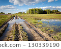 View of a dirt road and fields with water after rain 130339190