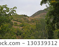 mountain landscape with trees mountain landscape with trees 130339312