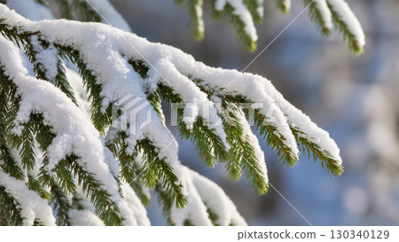 Christmas tree branches covered with fresh white snow in winter forest, close-up natural scene with frosty details. Christmas tree branches covered with fresh white snow in winter forest, close-up natural scene with frosty details. 130340129