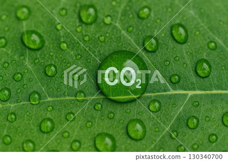 Environmental Monitoring Action Closeup of Green Leaf with Water Droplets Nature Macro Ecoscience View Environmental Monitoring Action Closeup of Green Leaf with Water Droplets Nature Macro Ecoscience View 130340700