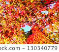 Bright autumn leaves 130340779