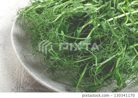 Fresh pea shoots arranged on a gray plate with a light background, highlighting their curly tendrils and vibrant green color 130341170