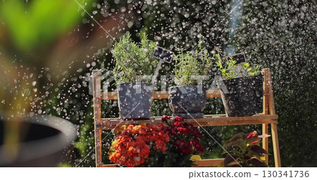 Young woman is watering floral seedlings into pot using garden tools. Home hobbies, inner life. Cultivate plants in garden. 130341736