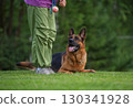 Training Time: German Shepherd and Handler in the Park 130341928