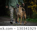 Belgian Malinois: Training and Obedience in Action 130341929