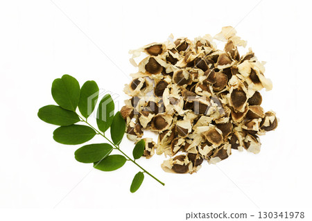 Moringa Seeds and Leaves on white 130341978