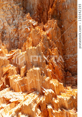 Texture of a broken tree trunk 130342193