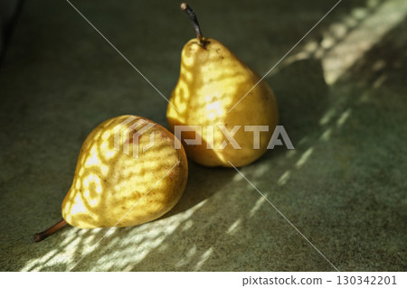 Close-up horizontal shot of two fresh pears on textured green and gray surface in sunlight streams casting beautiful, patterned shadows. Suitable for autumn themes, food blogs or lifestyle content Close-up horizontal shot of two fresh pears on textured green and gray surface in sunlight streams casting beautiful, patterned shadows. Suitable for autumn themes, food blogs or lifestyle content 130342201
