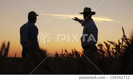 farmer sealing business deal wheat field sunset, Agricultural partnership handshake amid bountiful harvest, Rural business collaboration heart wheat field, Harvest time agreement between farmers under 130342712