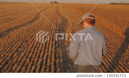 farmer working in wheat field, combine harvester ploughing in wheat field, agriculture tablet, connecting technology with nature, enhancing decision making with data, farming in the digital age, real 130342713
