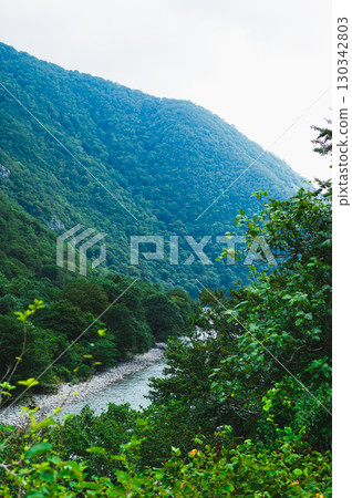 Fast mountain river with blue water between forested slopes vertical view 130342803