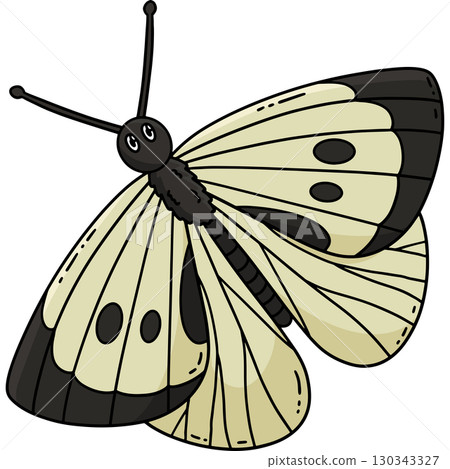 Insect Cabbage White Butterfly Cartoon Clipart  130343327