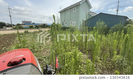 Shooting from the driver's seat of a tractor, plowing a field of grass 130343616
