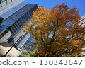 藍天、路邊樹上的秋葉和城市景觀的美麗秋景 130343647