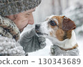 Owner walks dog in snowy forest, playful bite on mitten shows joy and active lifestyle. 130343689