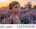 Sunset scene with child in lavender field, highlighting peaceful reflection and natural beauty. 130343690