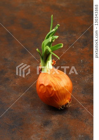 onions on a black background 130343868