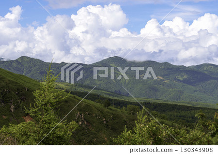 夏季白根山的崎嶇山勢與翠綠植被形成鮮明對比 夏季白根山的崎嶇山勢與翠綠植被形成鮮明對比 130343908