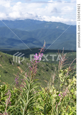從國道292號富士見停車場展望台看到的景色 從國道292號富士見停車場展望台看到的景色 130343921