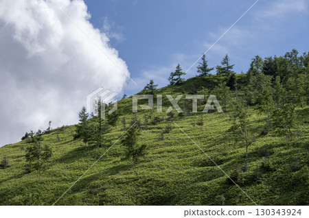 夏季白根山的崎嶇山勢與翠綠植被形成鮮明對比 130343924