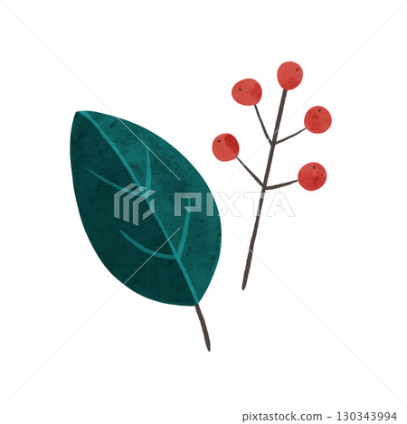 Branches with dark green leaves and red berries, watercolor hand-drawn illustration 130343994