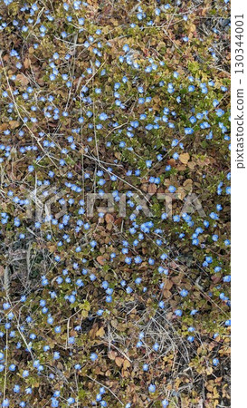 模式 模式 130344001