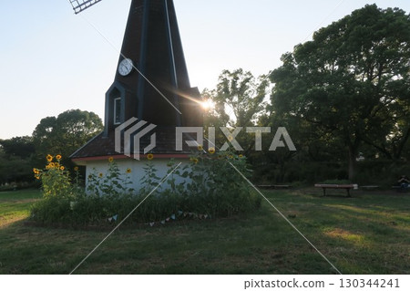 Landscape with windmill and sunflowers 130344241