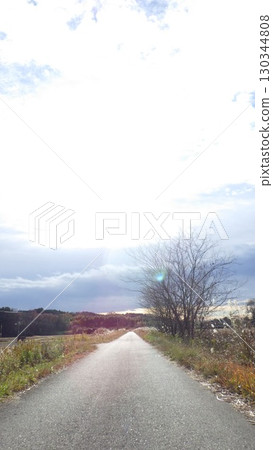 road  130344808