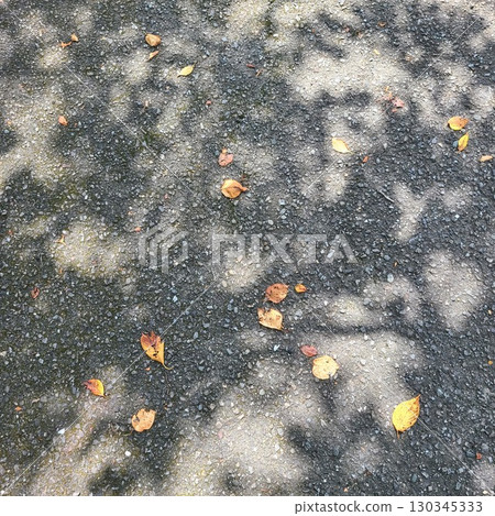 Asphalt and fallen leaves Asphalt and fallen leaves 130345333