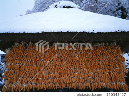 Dictionary of Materials Vol.122 Four Seasons. Scenery of Japan. High quality photo 130345427