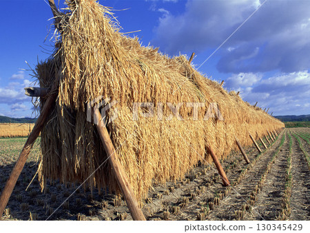Dictionary of Materials Vol.122 Four Seasons. Scenery of Japan. High quality photo 130345429