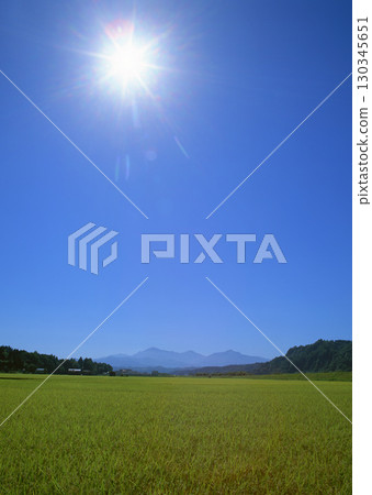Field with green view. open space, outdoor. High quality photo Field with green view. open space, outdoor. High quality photo 130345651