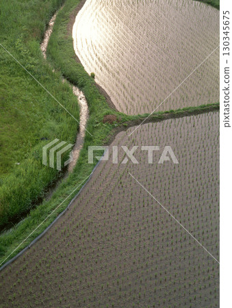 Field with green view. open space, outdoor. High quality photo Field with green view. open space, outdoor. High quality photo 130345675