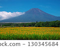 Yellow cosmos field and Mt. Fuji in front of Hana no Miyako Park in Yamanashi Prefecture 130345684