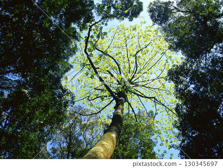 Dictionary of Materials Vol.122 Four Seasons, Scenery of Japan. High quality photo Dictionary of Materials Vol.122 Four Seasons, Scenery of Japan. High quality photo 130345697