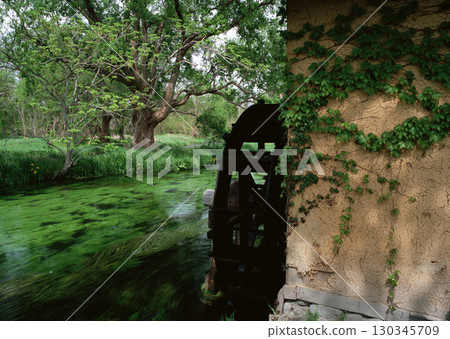 Peaceful Lake with Lily Pads. High quality photo 130345709