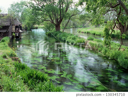 Peaceful Lake with Lily Pads. High quality photo 130345710