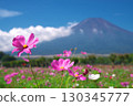 Cosmos field and Mt. Fuji in front of Yamanashi Prefecture Hana no Miyako Park 130345777