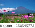 Cosmos field and Mt. Fuji in front of Yamanashi Prefecture Hana no Miyako Park 130345778