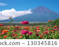 Zinnia field and Mount Fuji in front of Yamanashi Prefecture Hana no Miyako Park 130345816